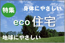 特集　身体にやさしいeco住宅　地球にやさしい